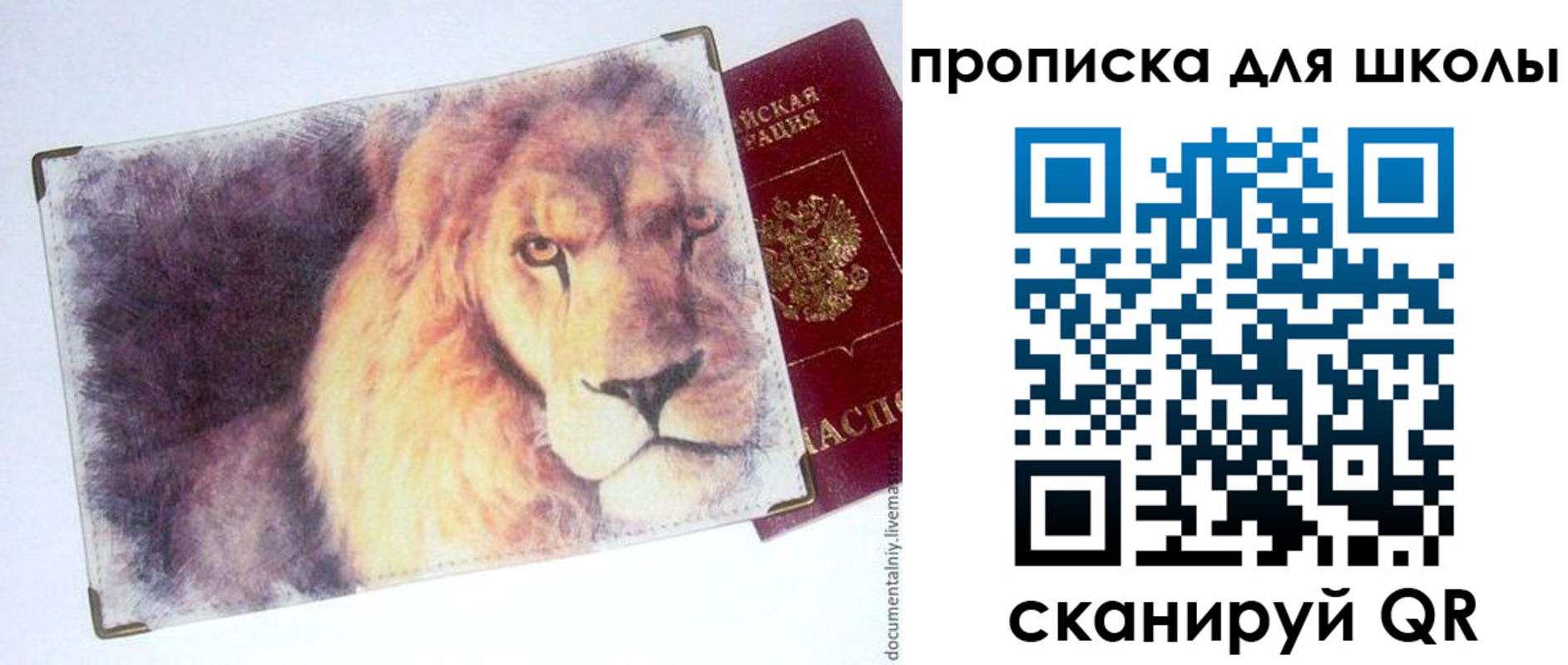 прописка для школы в Петрозаводске